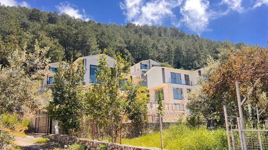 Home in Faralya
